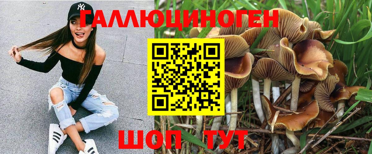 Псилоцибиновые грибы Magic Shrooms  Вход с VPN  Свободный  Псилоцибиновые грибы Psilocybine cubensis 