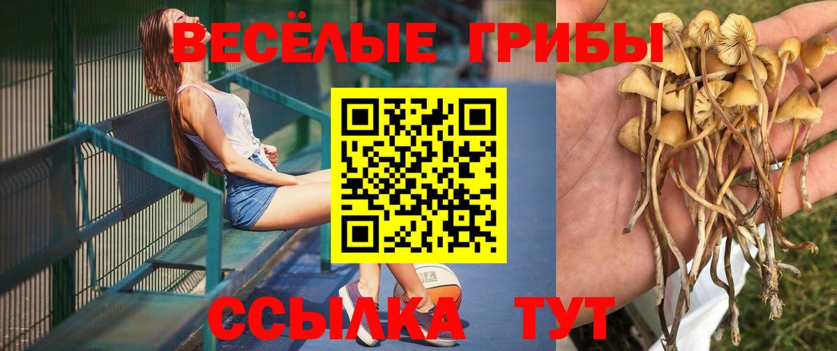 Псилоцибиновые грибы MAGIC MUSHROOMS Свободный